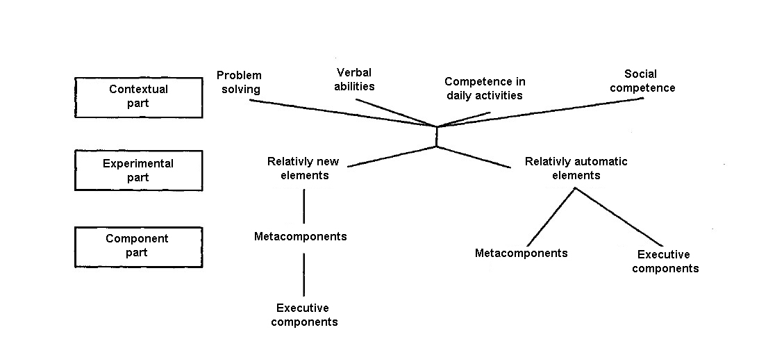 Sternberg's triadic theory of intelligence model